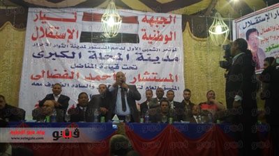 بالصور.. «الفضالي»: «السيسي» دعم الإرداة الوطنية.. و«لا» للدستور تعرقل البلاد