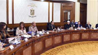 الحكومة تطلق مشروعا لتحديث بيانات العاملين بالدولة