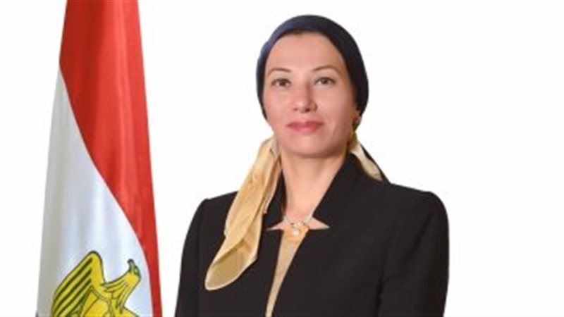 ياسمين فؤاد وزيرة