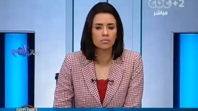 بالفيديو.. الوزراء: التصويت على الدستور يحسن الحالة المزاجية للمصريين