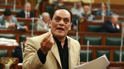 الصايغ: الاستفتاء على الدستور 