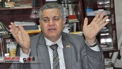 الفخراني: الإخوان تصعد أعمال العنف قبل الاستفتاء لتعطيل خارطة الطريق