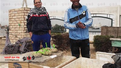 بالصور.. حظر الصيد يشعل أسعار الأسماك بالإسماعيلية