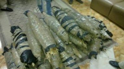 ضبط 100 كيلو جرام من مخدر البانجو قبل ترويجها بالقليوبية