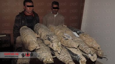 ضبط 23 كيلو بانجو بحوزة فلاح وعاطل بـ