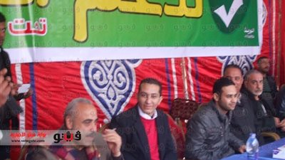 محافظة المنوفية: التصويت على الدستور بـ