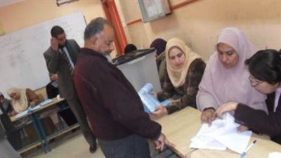 528 شابًا وفتاة لتنظيم لجان الاستفتاء بـ