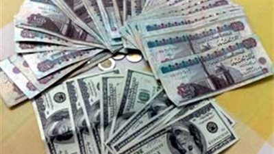 أستاذ اقتصاد: مصر تحتاج إلى الجنيه أكثر من الدولار