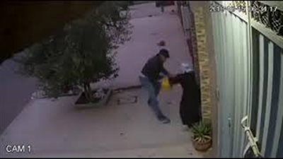 لحظة اعتداء لص على امرأة أمام منزلها (فيديو)