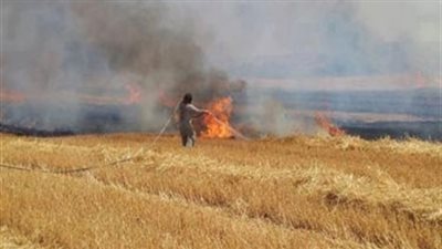 حريق 6 أفدنة قمح بالبحيرة فى ظروف غامضة