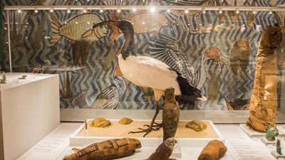 بريطانيا تفتتح معرضي آثار يجسدان الحياة والموت عند  قدماء المصريين (صور)