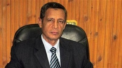 الوادي الجديد تنتهي من تشغيل 6 وحدات قروية بالطاقة الشمسية