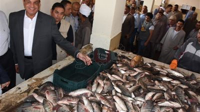 محافظ البحيرة: توقيع عقد شراكة مع الزراعة لتوفير الأسماك بالمنافذ