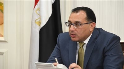 تشكيل لجنة لإعداد قاعدة بيانات متكاملة عن المصريين بالخارج