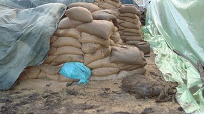 ضبط 11 طن قمح فاسد أثناء توريدها شون البحيرة