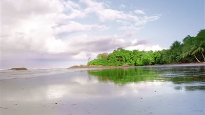 Pixel 3 XL يشغل فيديو HDR بدقة 1440 بكسل وسرعة 60 إطارًا