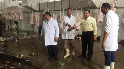 ضبط 760 كيلو لحوم غير صالحة للاستخدام الآدمي بالدقهلية (صور)