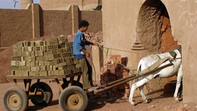 طفل يقتل صديقه بـ«قالب طوب» ويدفنه في أرض زراعية بالإسماعيلية