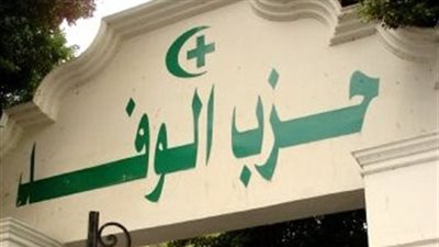 قيادي بالوفد: ما يحدث في مصر وراءه دعم خارجى