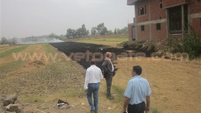 بالصور.. «زراعة الشرقية» تحرر 3055 محضر حرق لقش الأرز