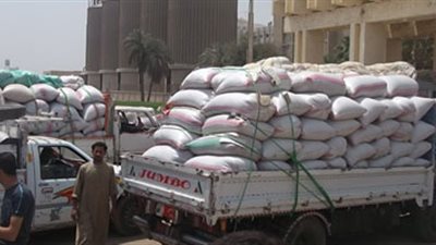 إحباط محاولة تهريب 70 طن قمح خارج  محافظة الإسكندرية