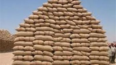 توريد 35 ألف طن قمح بشون قنا