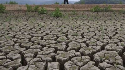 مزارعو الكرنك يطالبون بإقالة مدير عام الرى بالأقصر