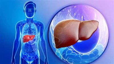 تعاون بين «القومي للبحوث» و«تيودور بلهارس» لعلاج تليف الكبد