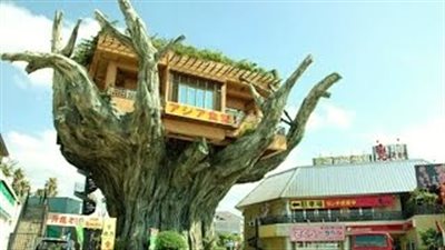 بالفيديو.. أغرب البيوت في العالم