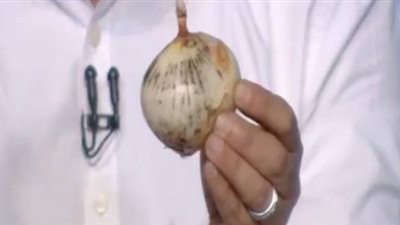 باحث في الغذاء: البصل المصاب بالعفن لا يسبب السرطان