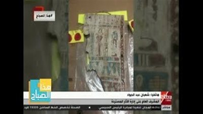 «الآثار»: تقرير الموقع الأسترالي يتكرر منذ 3 سنوات (فيديو)