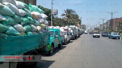 توريد نصف مليون إردب قمح لشون الدقهلية