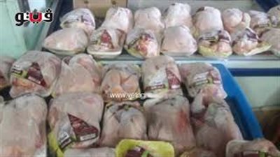 «الوزراء» ينفي زيادة أسعار الدواجن المجمدة بالجمعيات الاستهلاكية (صوت)