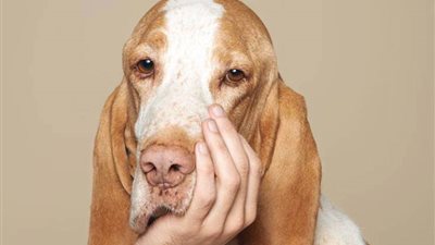 «قصة حديقة الحيوان» في مهرجان «كيميت».. اليوم