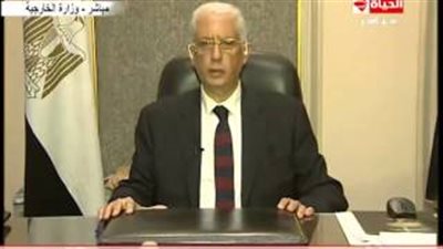 بالفيديو.. «الخارجية»: 10 آلاف مصري بالخارج أدلوا بأصواتهم في اليوم الأول