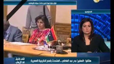 بالفيديو.. «عبد العاطي»: علاقات وثيقة تربط الجماعات الإرهابية 