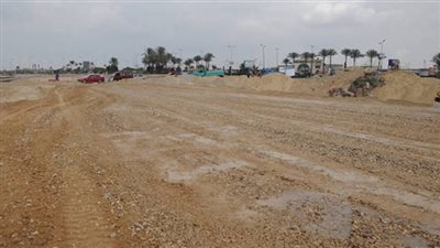 4800 طلب لتقنين أراضي وضع اليد بالوادي الجديد