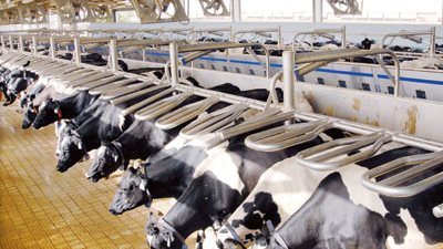 ورشة عمل حول 