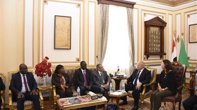 رئيس جامعة القاهرة يبحث التعاون مع وفد وكالة الفضاء الأفريقية (صور)