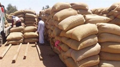 توريد 84 ألف طن  لشون الغربية