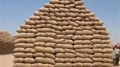 توريد 16.3 ألف طن قمح ببنوك سوهاج