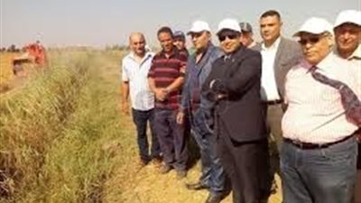 الحل في التموين..الدولة وأهالي دمياط يحاربون احتكار الأرز وارتفاع أسعاره