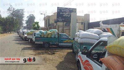 بالصور.. تكدس السيارات المحملة بالقمح أمام 