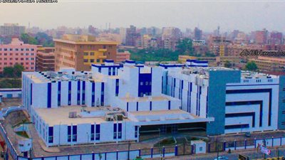 مستشفى المنوفية العسكري يستضيف خبيرا عالميا في مناظير العمود الفقري