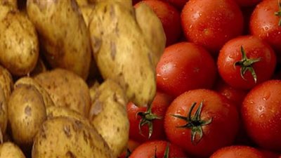 برلماني يطالب بمساءلة وزير الزراعة بعد ارتفاع أسعار البطاطس والطماطم