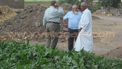 بالصور.. «زراعة الشرقية» تنظم ندوة إرشادية لمحصول بنجر السكر