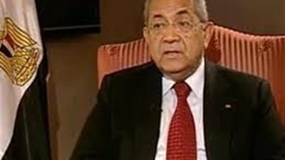 جمال بيومي: صوت بنعم للدستور لأن البديل مكلف ويعود بالبلاد للخلف