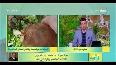 «الزراعة»: مباحث التموين تضبط محتكري البطاطس (فيديو)