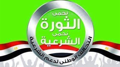 «دعم المعزول» يزعم: الشعب أدى دورًا عظيمًا بمقاطعة الاستفتاء