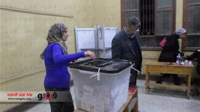 اليوم.. المصريون يدلون بأصواتهم على «دستور الثورة» في آخر أيام الاستفتاء